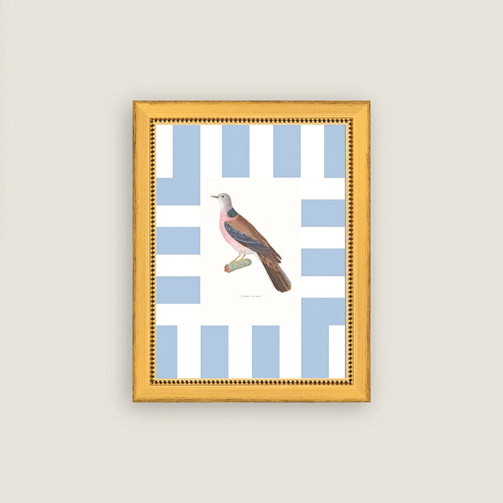 COLORED DOVE 7X9 FRAMED ART